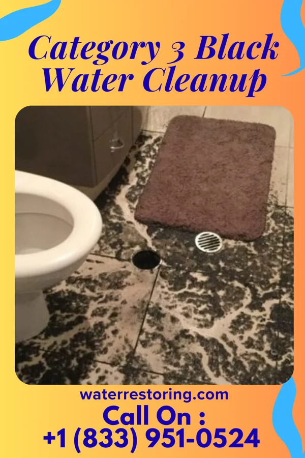 Category 3 Black Water Cleanup in Lyons, NE