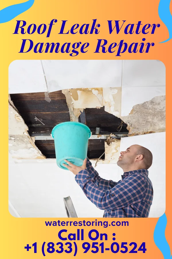 Roof Leak Water Damage Repair in Lyons, NE